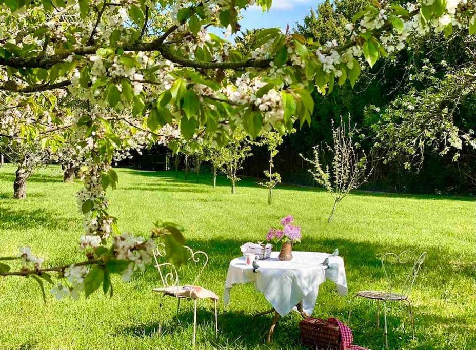 Charming Romantic Tower In Chateau Estate Ocquerre المظهر الخارجي الصورة